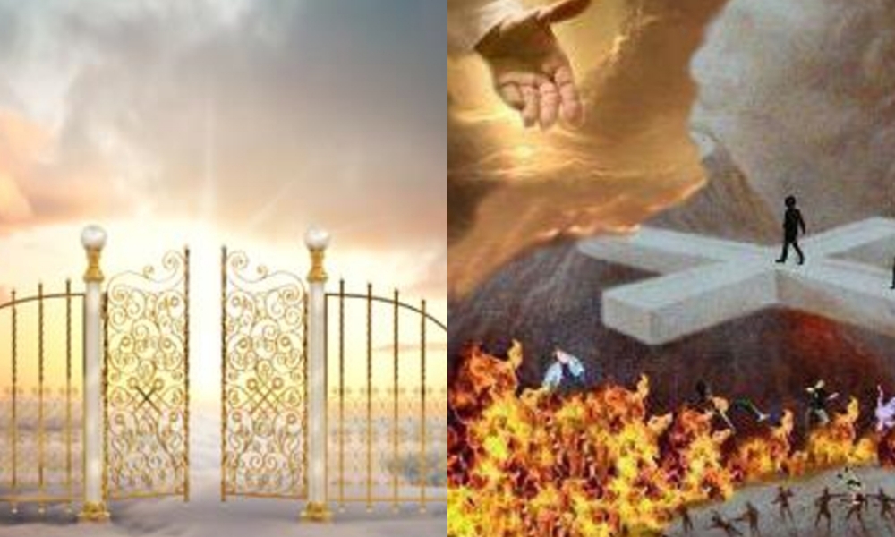 This image for Image Layouts addon